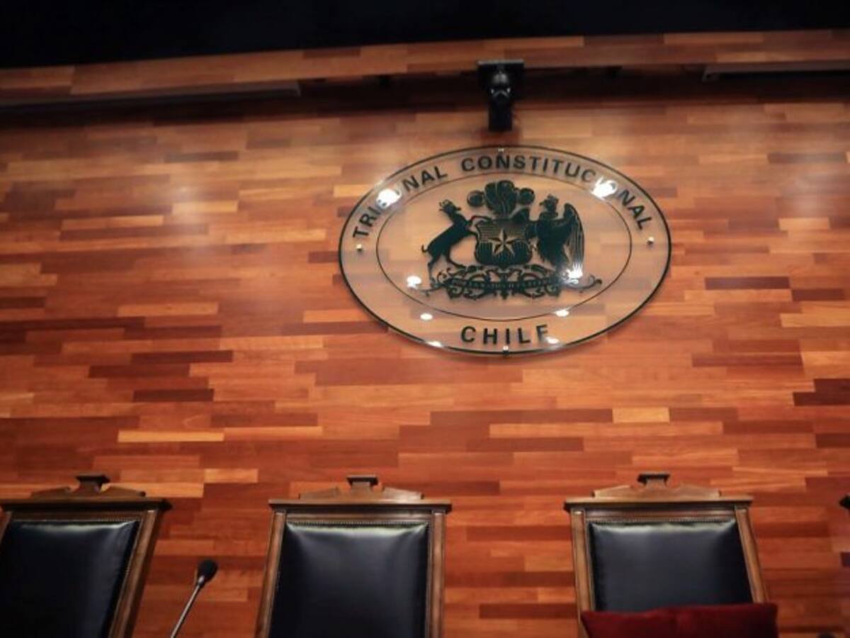 TC declaró inadmisible el requerimiento de la oposición por ley que aumenta sanciones a infractores de medidas sanitarias