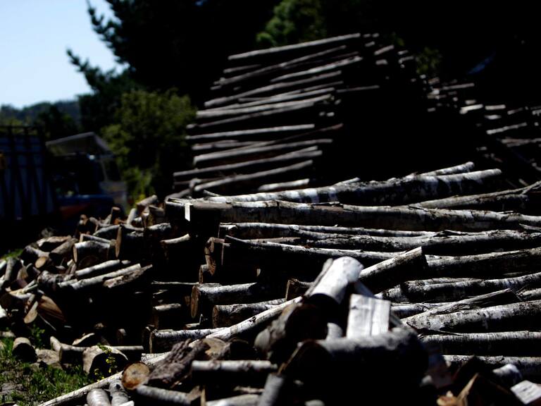 Robo de madera: PDI detiene a vocero de Temocuicui junto a dos empresarios madereros