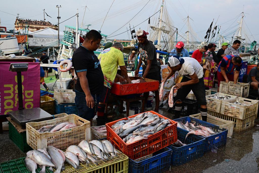 Trabajadores venden productos en un mercado de alimentos en la ciudad de Belem del estado de Pará, en Brasil