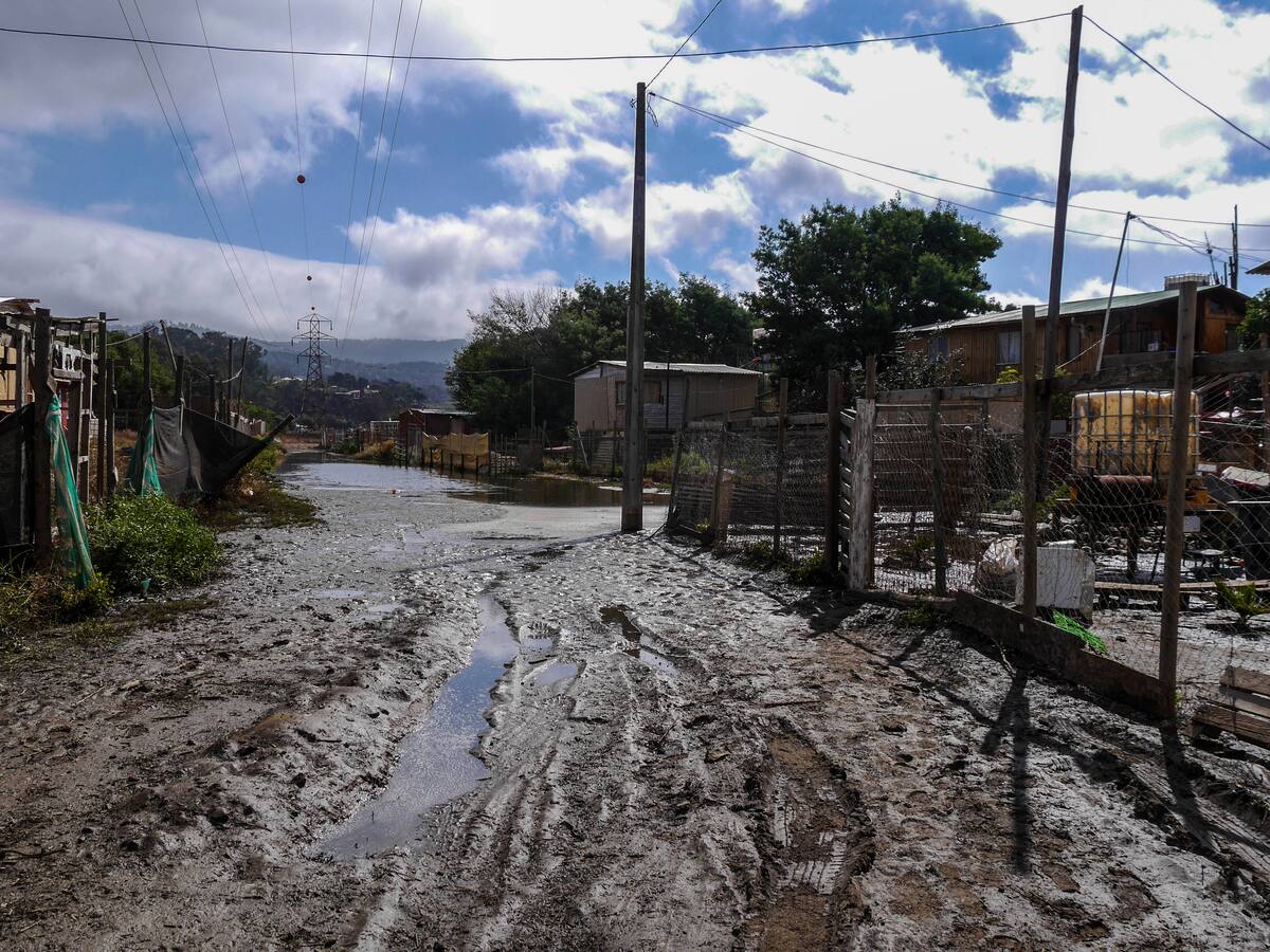 Guía de seguridad tras inundación: expertos alertan los riesgos mortales de limpiar escombros sin protección