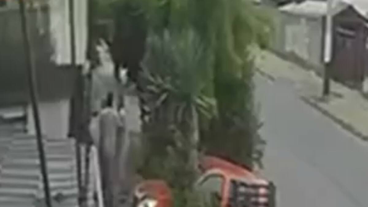 Mujer de 78 años quedó con fracturas tras violenta pelea por sacar una hoja de aloe vera en Puente Alto
