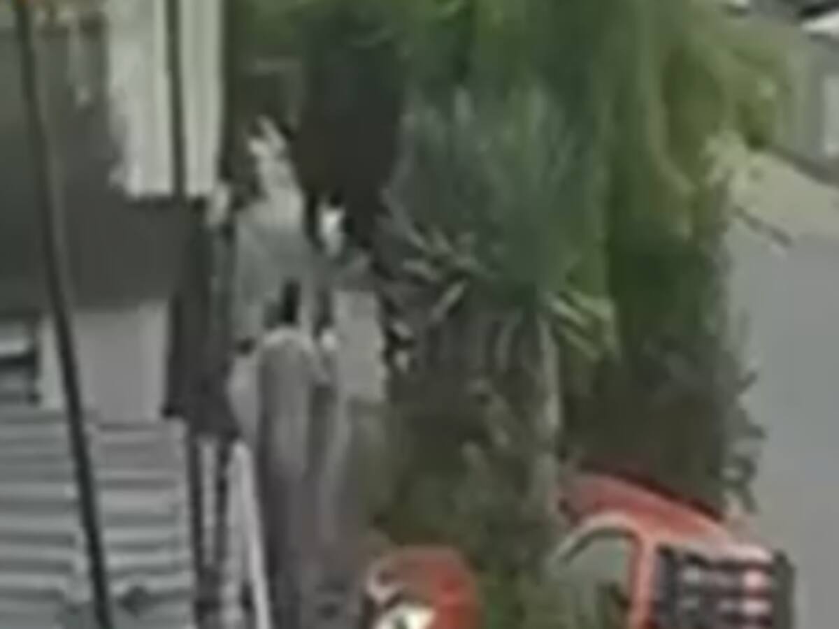 Mujer de 78 años quedó con fracturas tras violenta pelea por sacar una hoja de aloe vera en Puente Alto