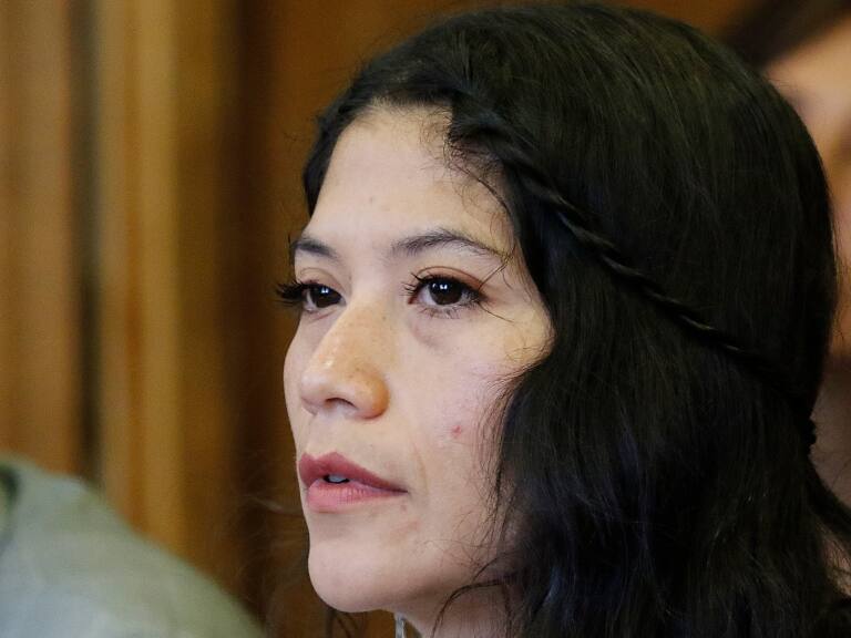 Robos a ministerios: diputada Ericka Ñanco apunta a «delincuentes vinculados a partidos de derecha»