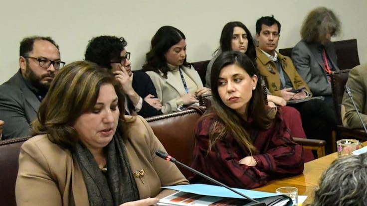 Crisis en el PS escala tras tensa discusión entre Vodanovic y Cicardini: registro muestra cruce en plena sala del Senado