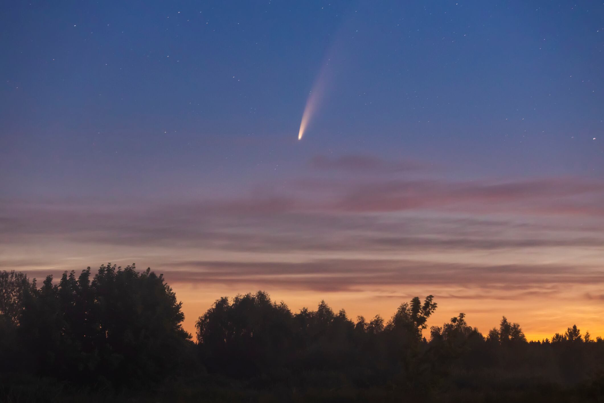 Este es el tamaño del sorprendente asteroide que casi impacta en el planeta Tierra