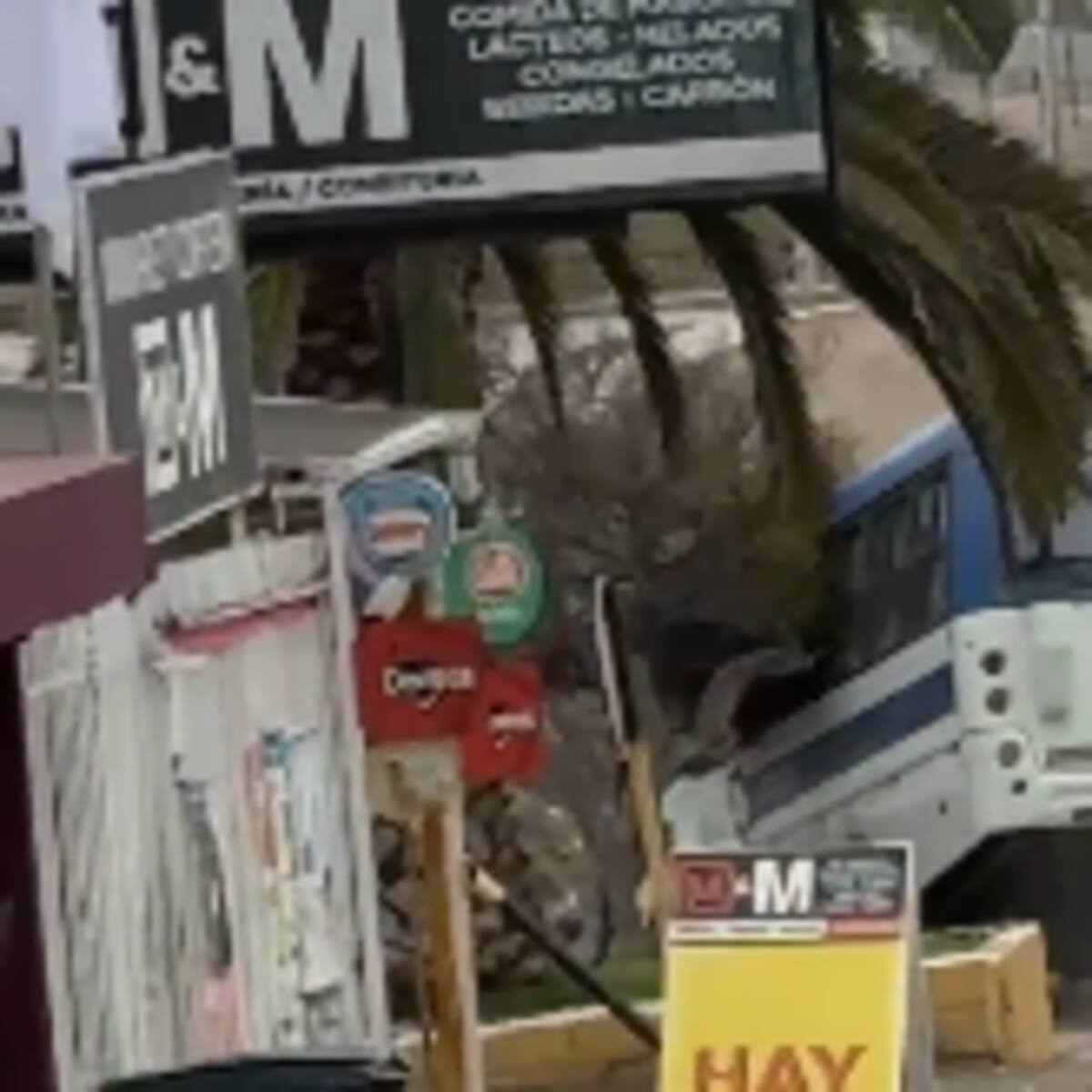 Micro cae a una quebrada en Coquimbo: chofer aseguró que una falla en los frenos desató el accidente