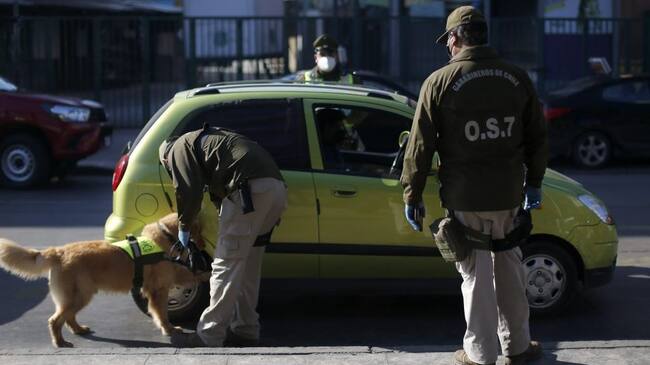 13 de Julio de 2020/SANTIAGO Un perro policial olfatea la rueda de un auto , durante una fiscalizacion en la comuna de Estacion Central, para tomar las medidas sanitarias y cuarentenas implementadas por la pandemia.
FOTO:Cristobal Escobar/Agencia UNO