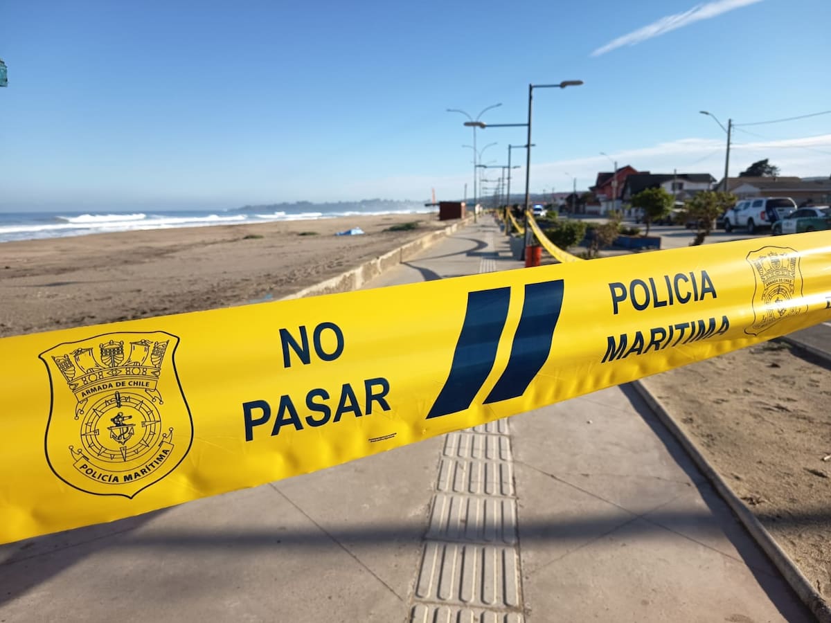 Dos primos y familiares de adulta mayor protegida: los detalles de los cuerpos hallados en Playa San Sebastián