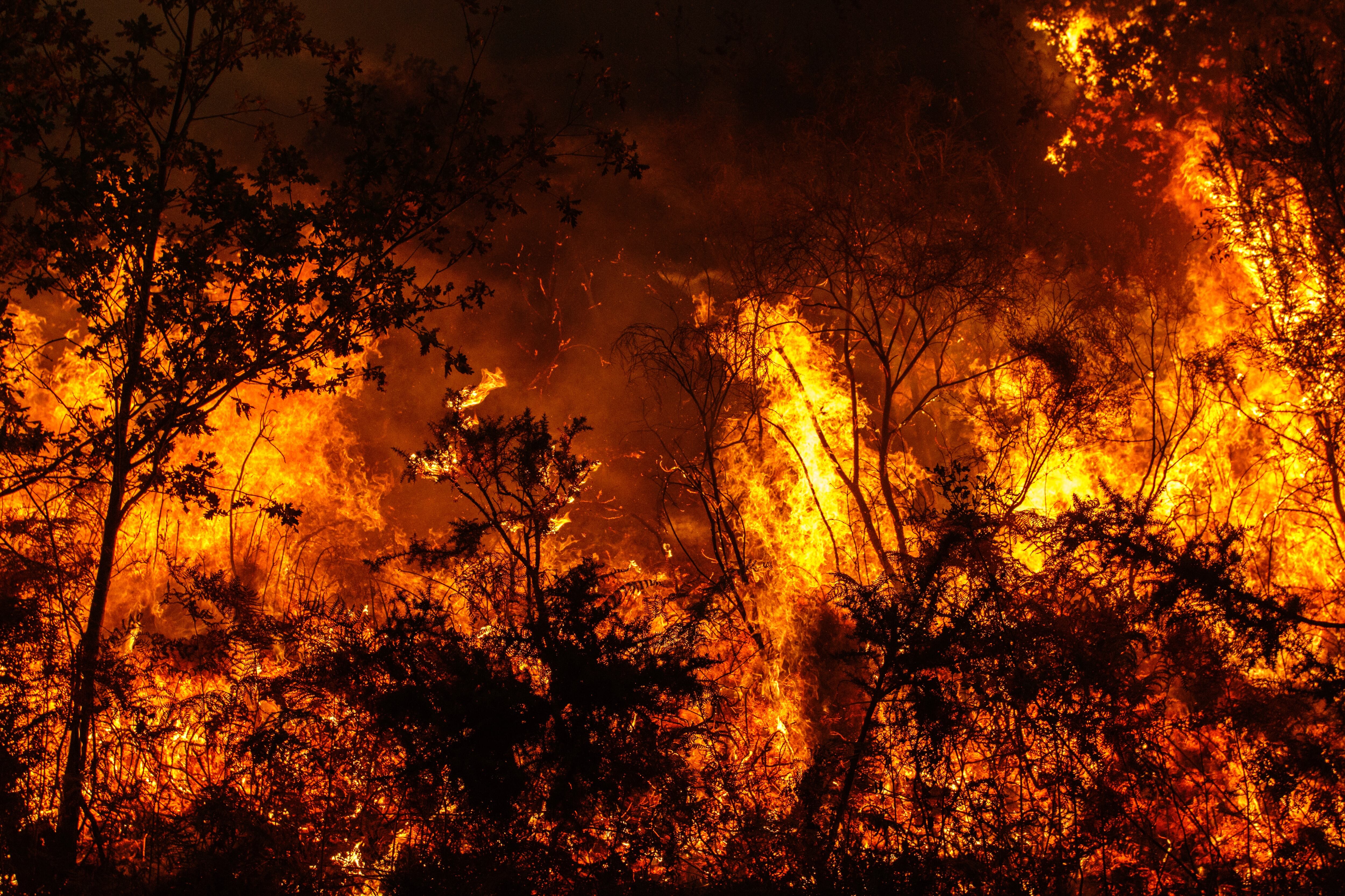 Incendios, sequías e inundaciones: expertos destacan tecnología que podría prevenir los desastres en Chile