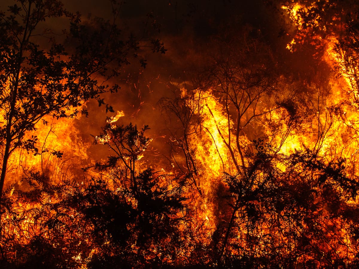Incendios, sequías e inundaciones: expertos destacan tecnología que podría prevenir los desastres en Chile