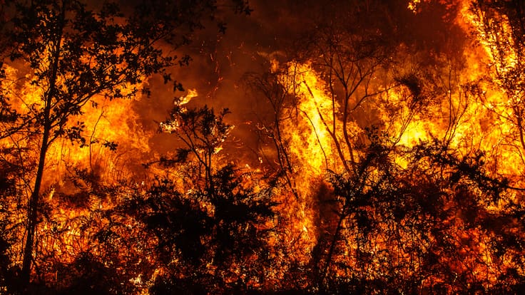Incendios, sequías e inundaciones: expertos destacan tecnología que podría prevenir los desastres en Chile