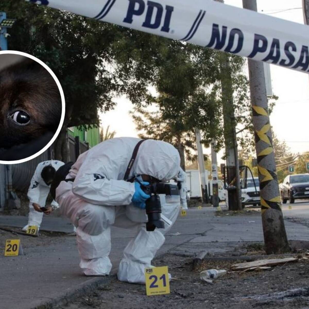 “El perro no se ha movido de su lado”: el duro relato de familiares tras muerte de hombre en Puente Alto