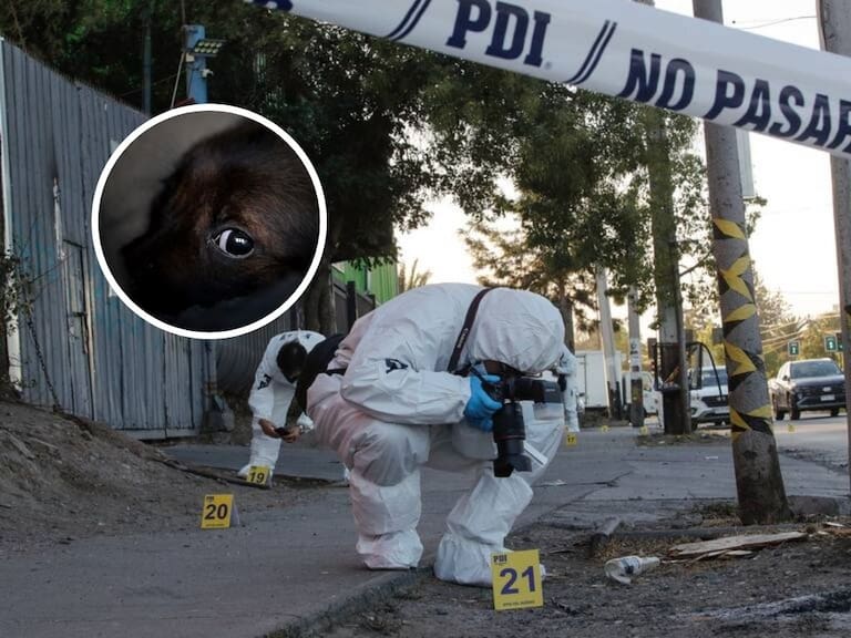 “El perro no se ha movido de su lado”: el duro relato de familiares tras muerte de hombre en Puente Alto