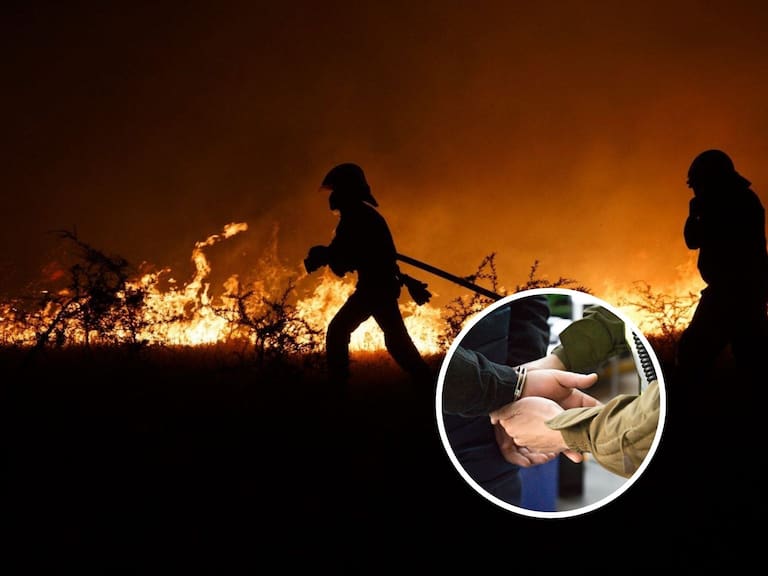 Detienen a tres hombres por iniciar incendios forestales en distintos puntos de la región de Ñuble