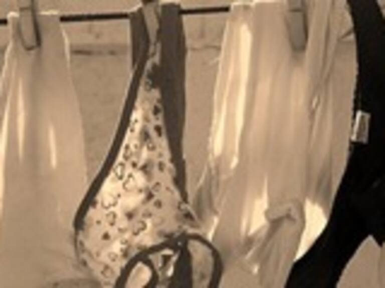 Según Google Traductor, el clítoris es un plato típico de Galicia