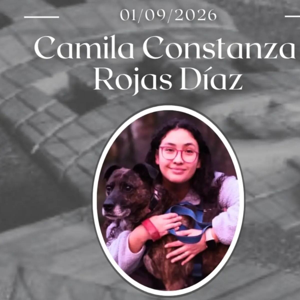 Consternación por muerte de joven veterinaria: cercanos acusan que habría denunciado maltrato y acoso laboral