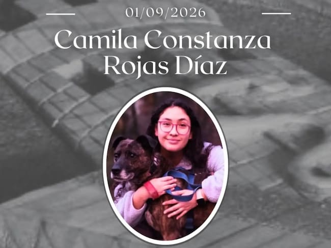 Captura Instagram @veterinariauach