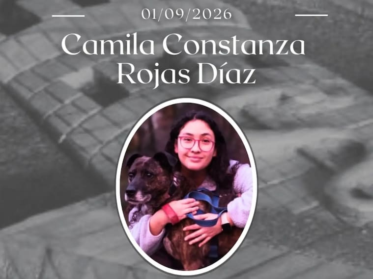 Captura Instagram @veterinariauach