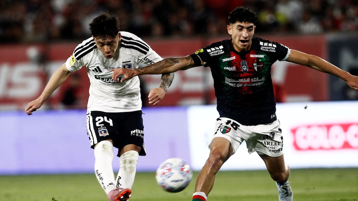 Palestino busca cambiar su localía para recibir a Colo Colo: el estadio que toma fuerza y el aforo que pretenden