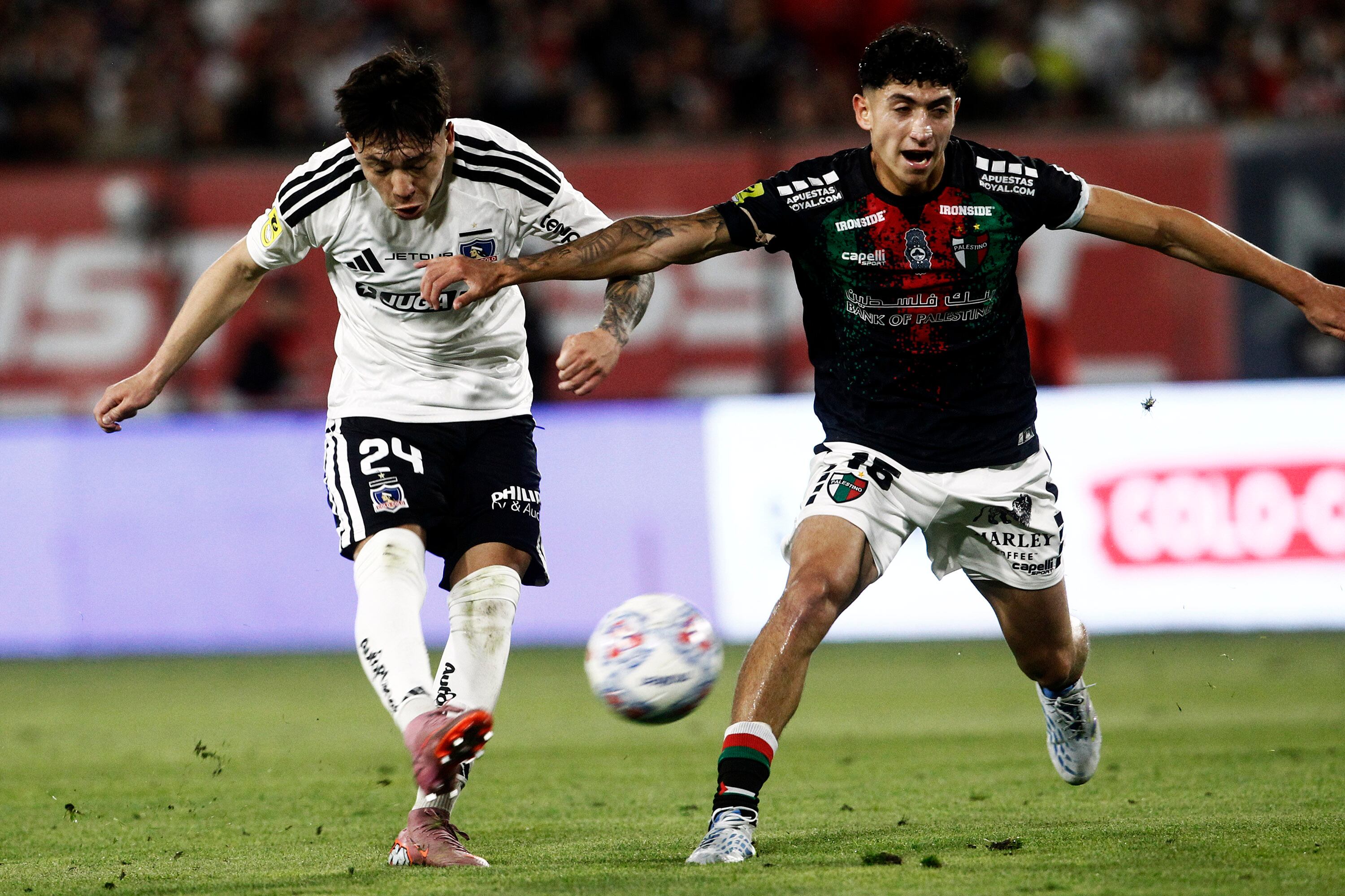 Palestino busca cambiar su localía para recibir a Colo Colo: el estadio que toma fuerza y el aforo que pretenden