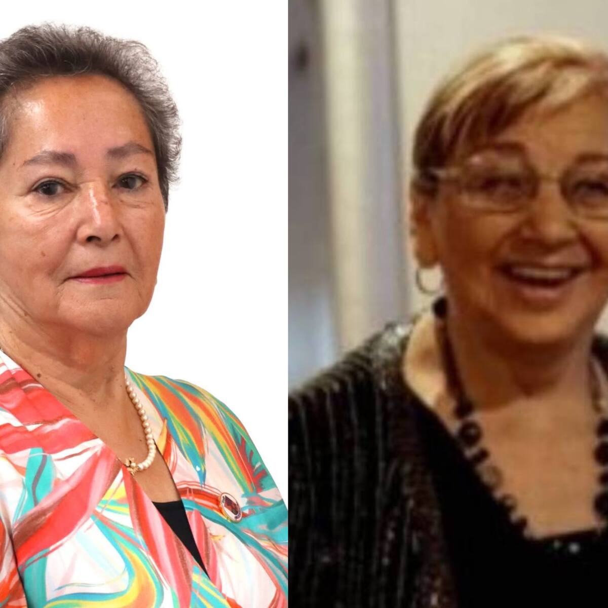 Familias de María Elcira Contreras y María Ignacia González llegan al Congreso: exigen más recursos en búsqueda de desaparecidos
