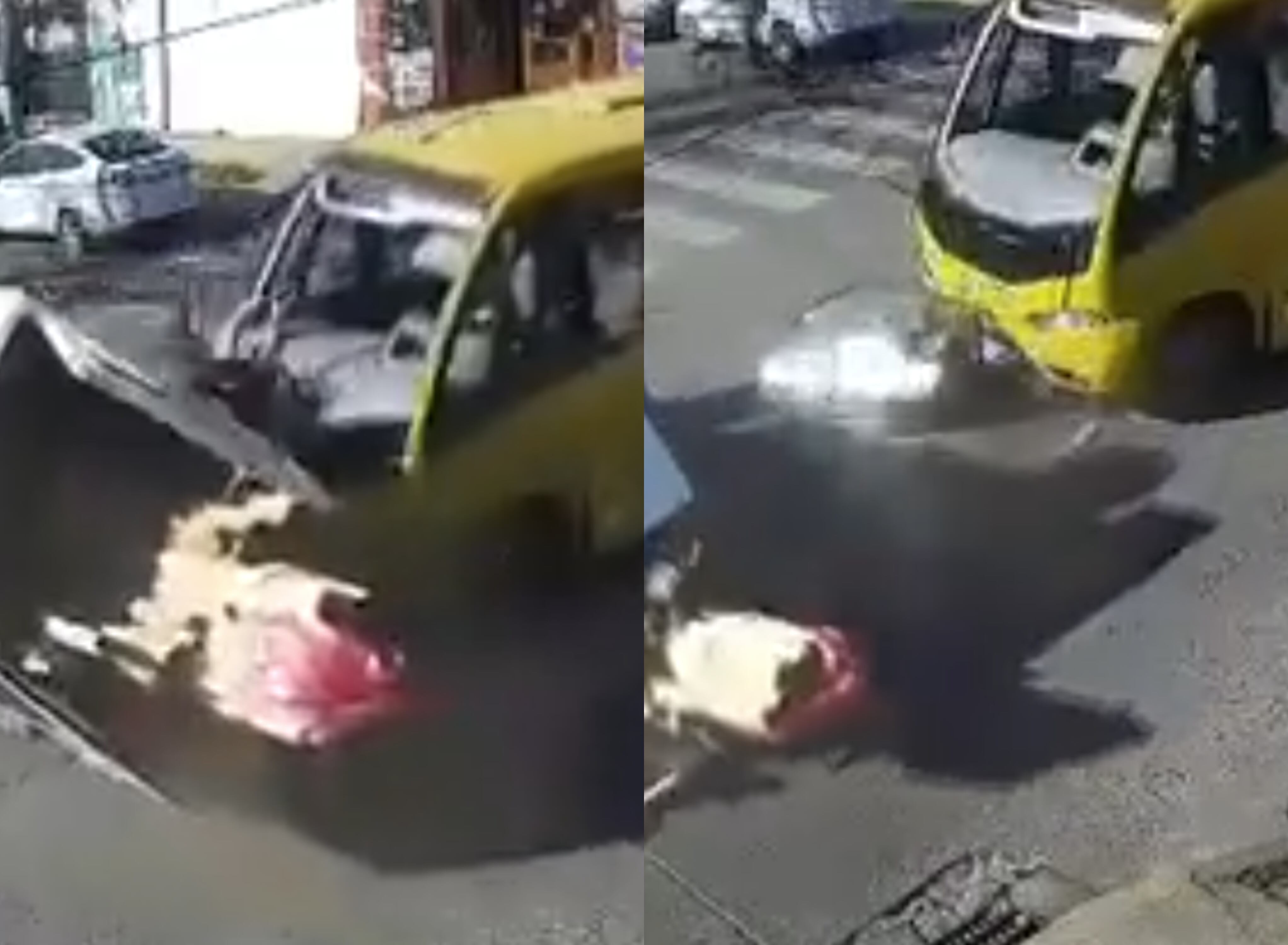 Capturas