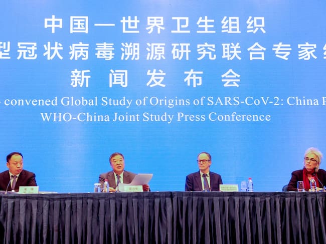 Investigadores de la OMS detallan su labor en Wuhan