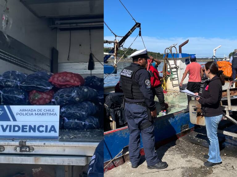 Aunque no hay registro de la toxina en la región: Detectan embarcación con más de 2.200 kilos de mariscos contaminados con marea roja en Los Lagos