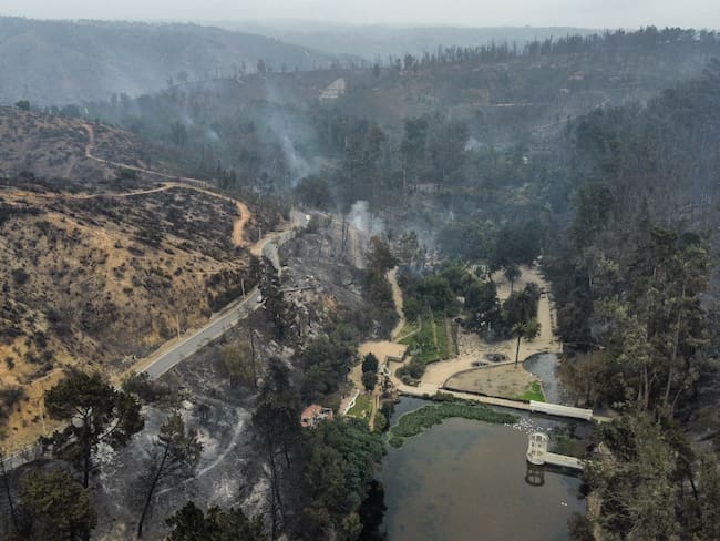 70 incendios en 10 años: ingeniero forestal alerta por la presencia de pirómanos  en Jardín Botánico de Viña del Mar 