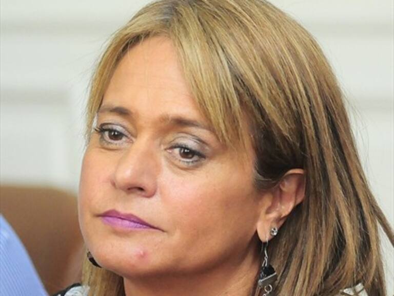 UDI pide al TC revisar reglamento de objeción de conciencia