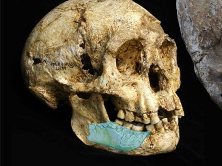Hallados restos de una nueva especie humana en Filipinas