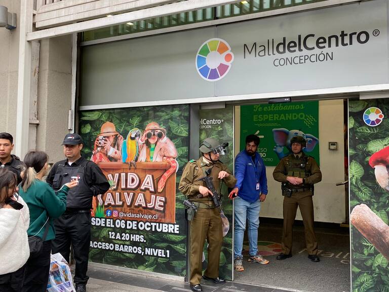 «Fue concebido para generar miedo»: siete personas resultan heridas por bombas de ruido en centros comerciales del Biobío
