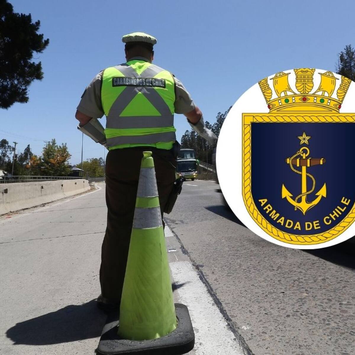 Fatal atropello en Viña del Mar: Armada confirma que víctima fatal es un miembro de la institución