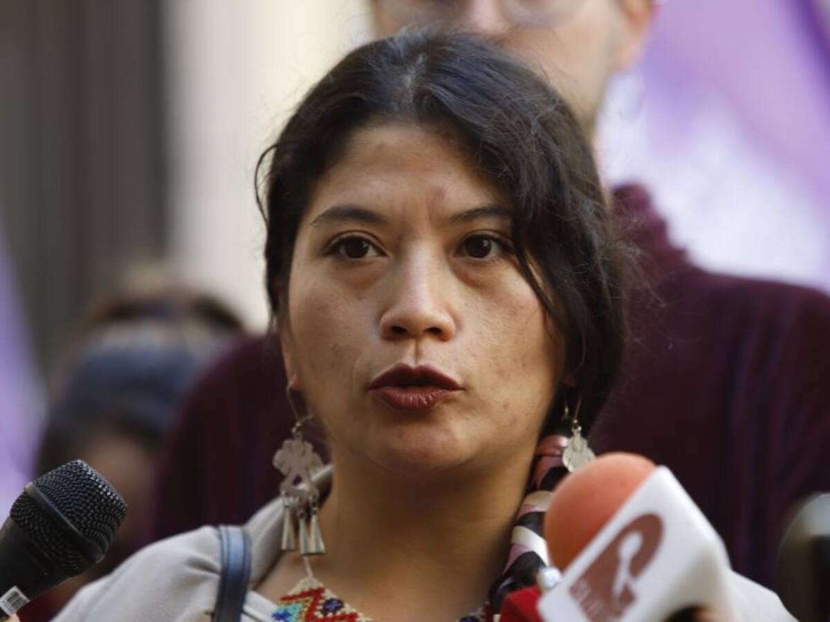 Corte de Apelaciones rechaza solicitud de desafuero contra diputada Ericka Ñanco ante querella por injurias