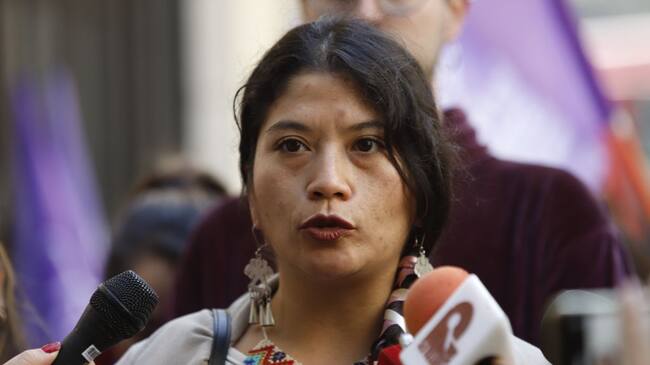 Corte de Apelaciones rechaza solicitud de desafuero contra diputada Ericka Ñanco ante querella por injurias