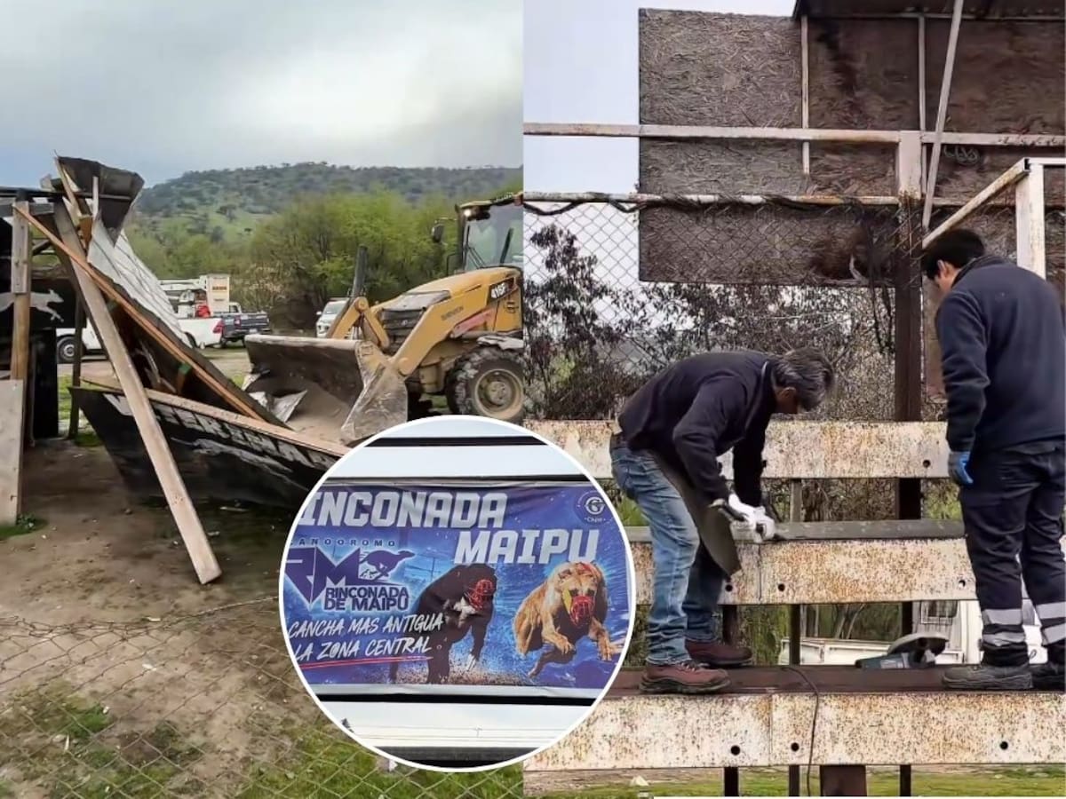 “Se acaban las carreras de perros”: Maipú se adelanta al debate del Congreso y demuele un canódromo