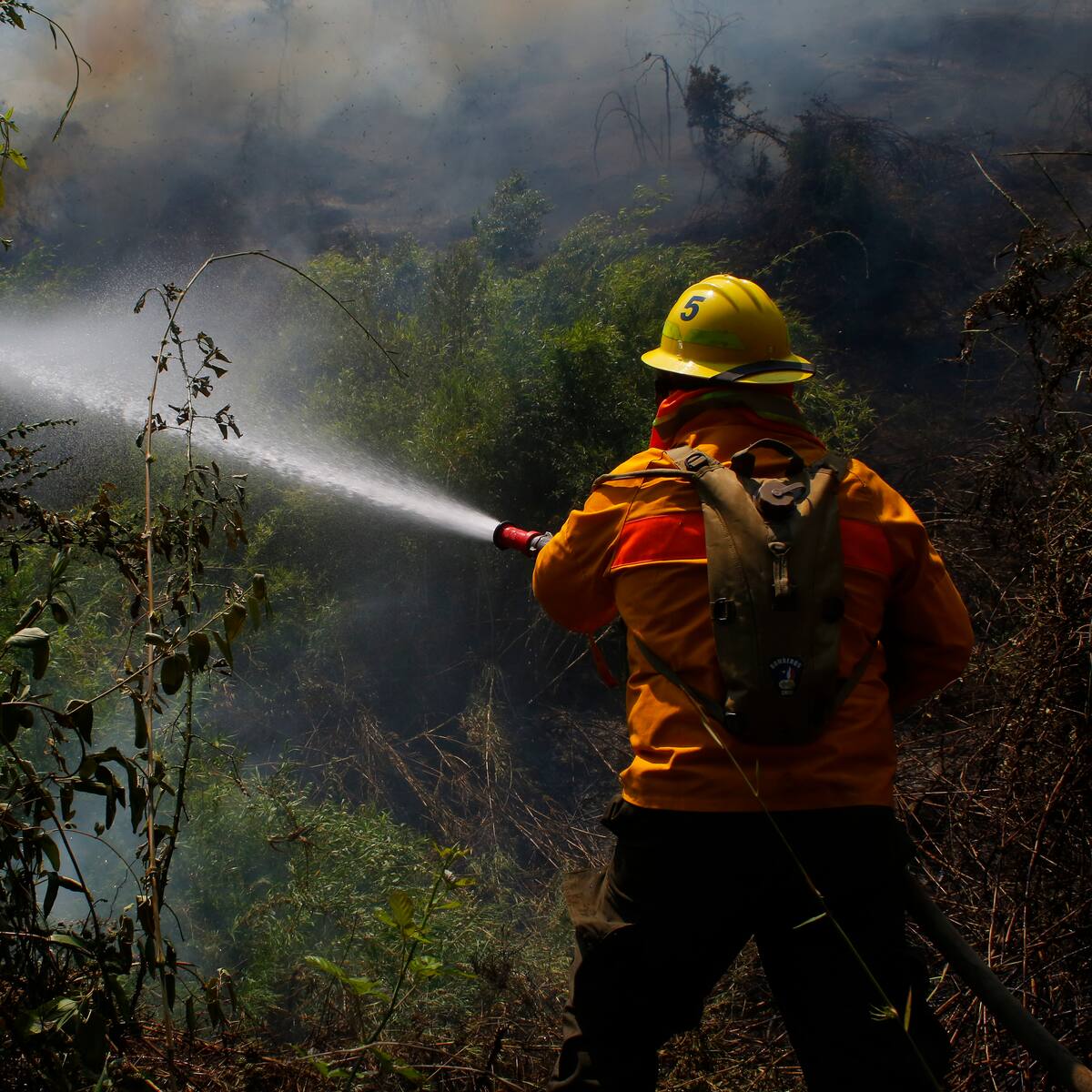 Alerta roja en Constitución: voluntarios continúan combatiendo incendio forestal que lleva más de 24 horas activo