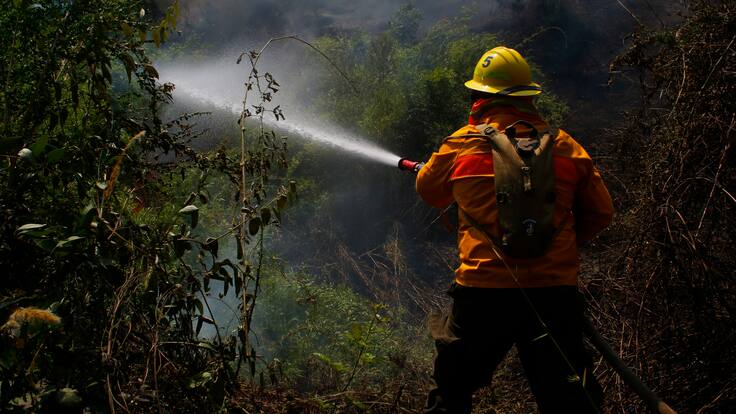 Incendio forestal en O’Higgins: Senapred cancela Alerta Roja y decreta Alerta Amarilla en la comuna de Las Cabras