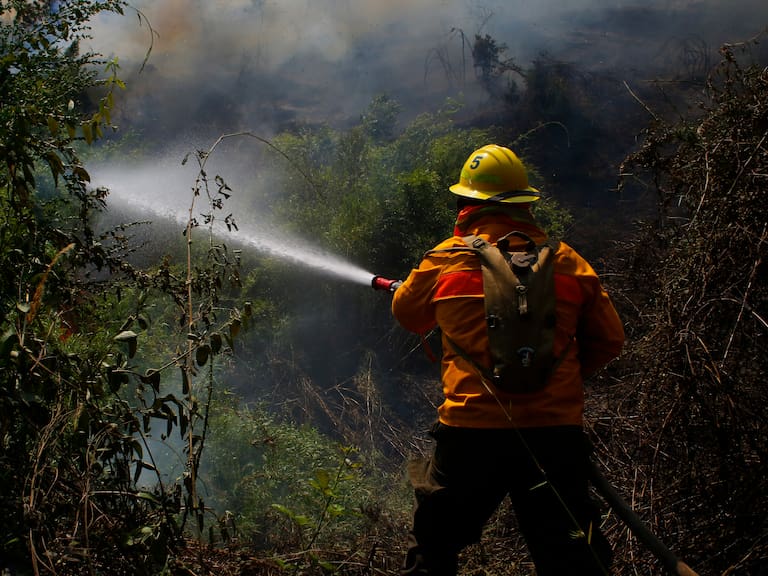 Alerta Roja por incendio forestal en Niebla - Leonardo Hernández - ADN Servicios Informativos - 14 de abril de 2024