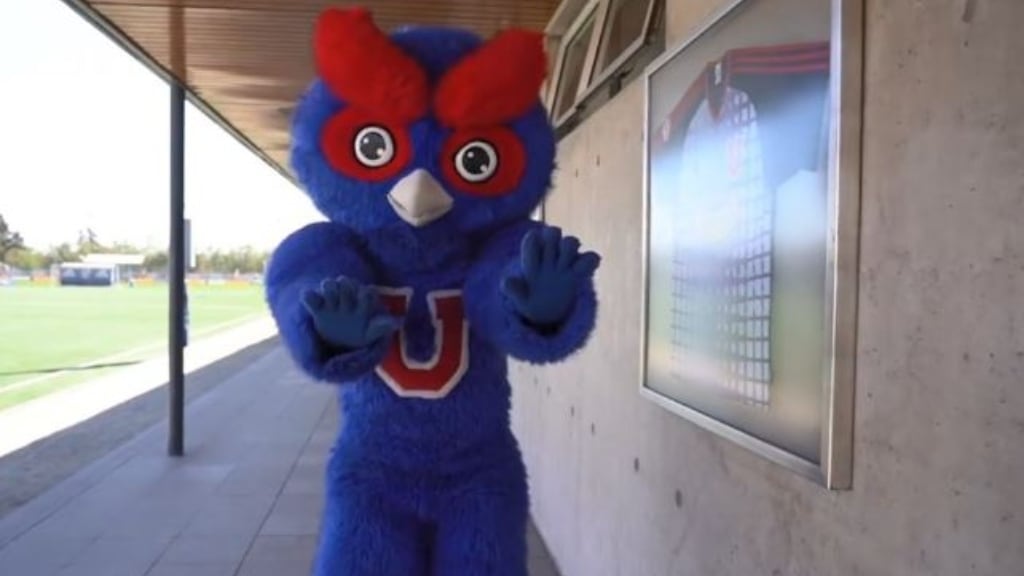 La inusual denuncia contra la U por el comportamiento de su mascota en el duelo ante Copiapó