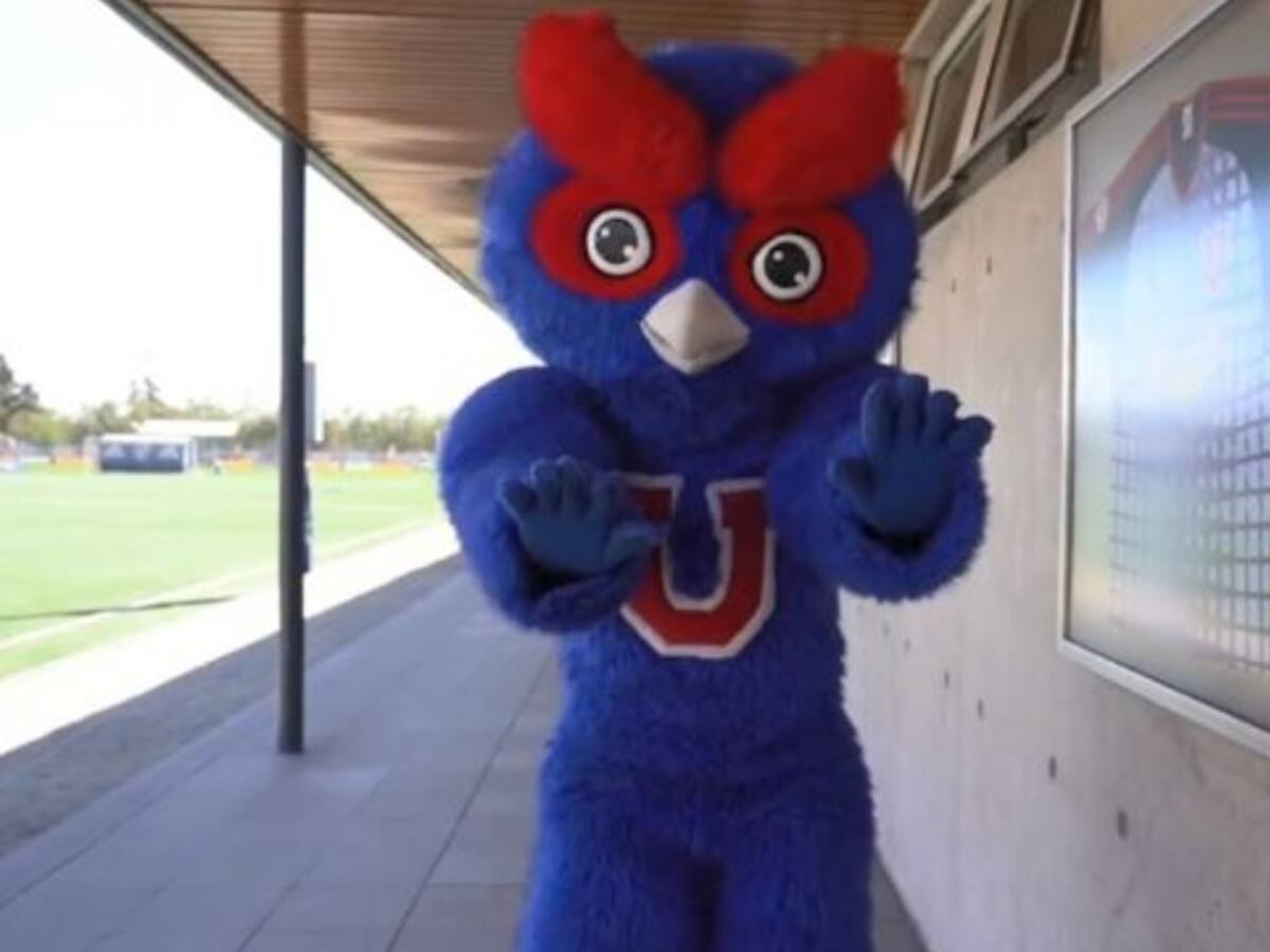 La inusual denuncia contra la U por el comportamiento de su mascota en el duelo ante Copiapó