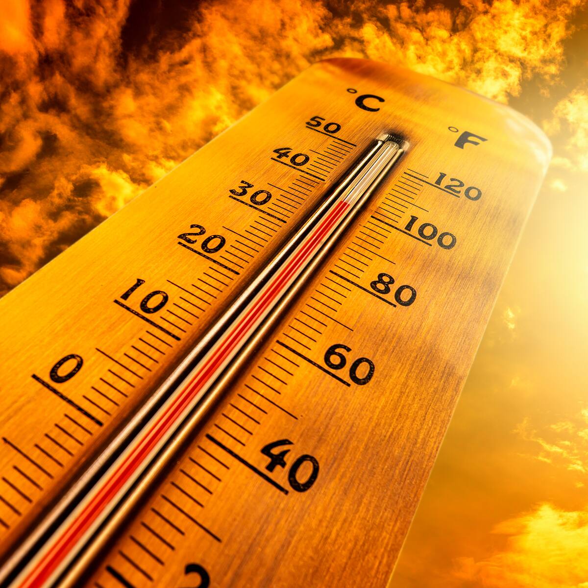 Hasta los 36°C: Meteorología emite aviso por altas temperaturas en zonas de estas dos regiones de Chile