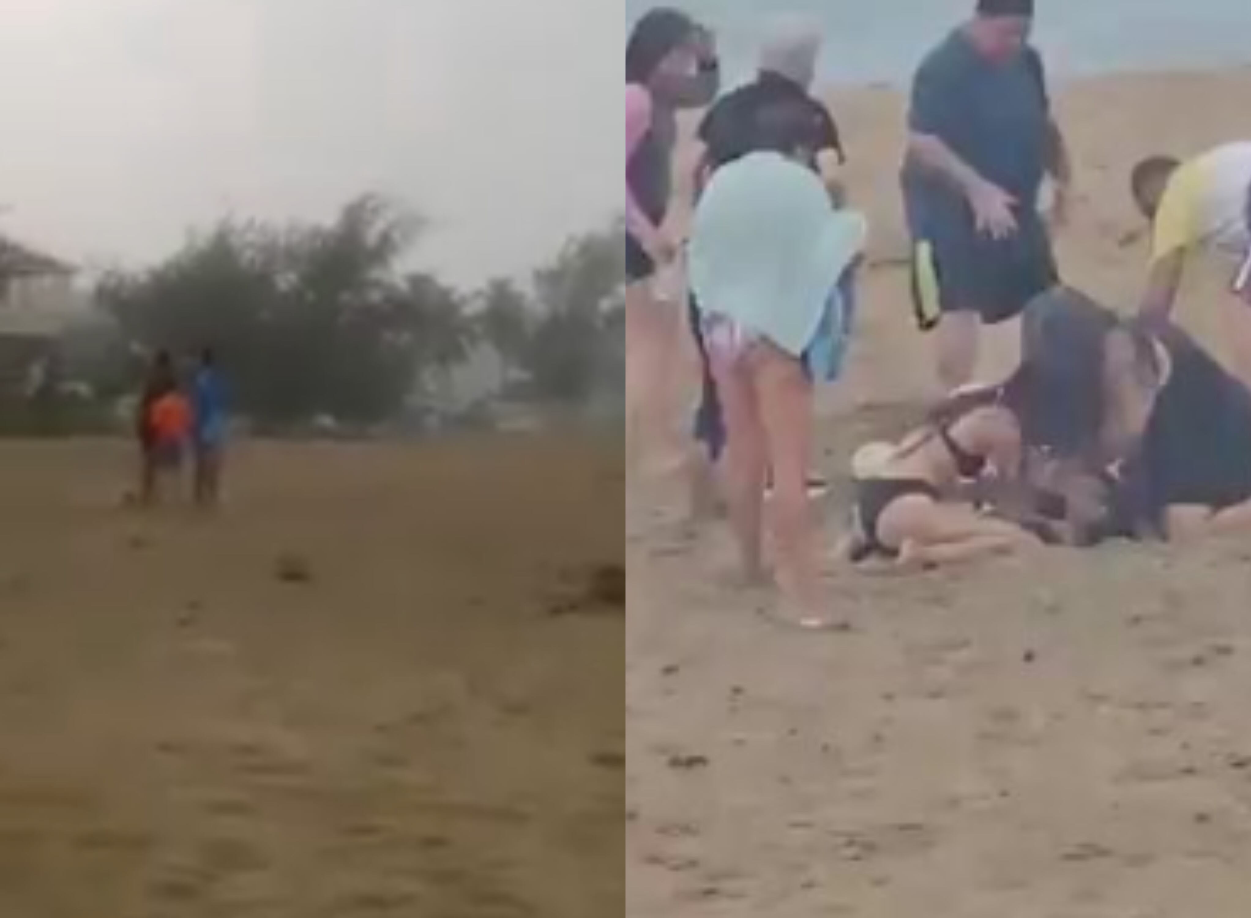 Capturas