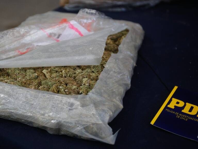 Vinculada al Tren de Aragua: PDI desarticula banda criminal dedicada al tráfico de drogas en Tarapacá