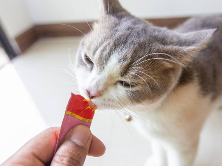 Por qué el snack para mascotas se llama ‘Churu’ y cuál es su real significado