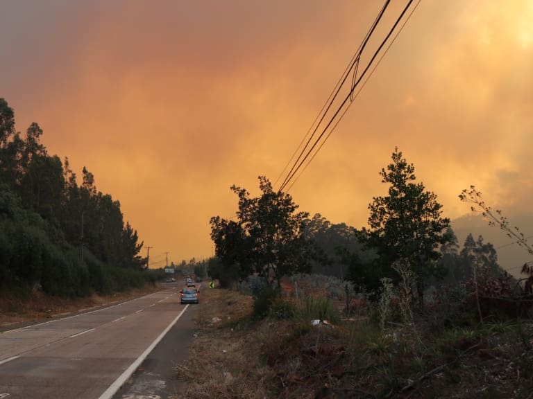 Tras los incendios forestales: MOP compartió la actualización del estado de las rutas