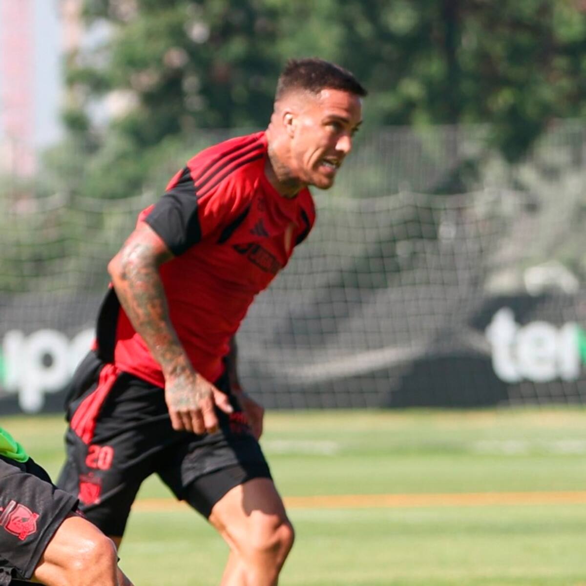 Llegaron a Colo Colo como refuerzos, casi no han jugado y tendrán su gran chance: sorpresa en el once de Ortiz