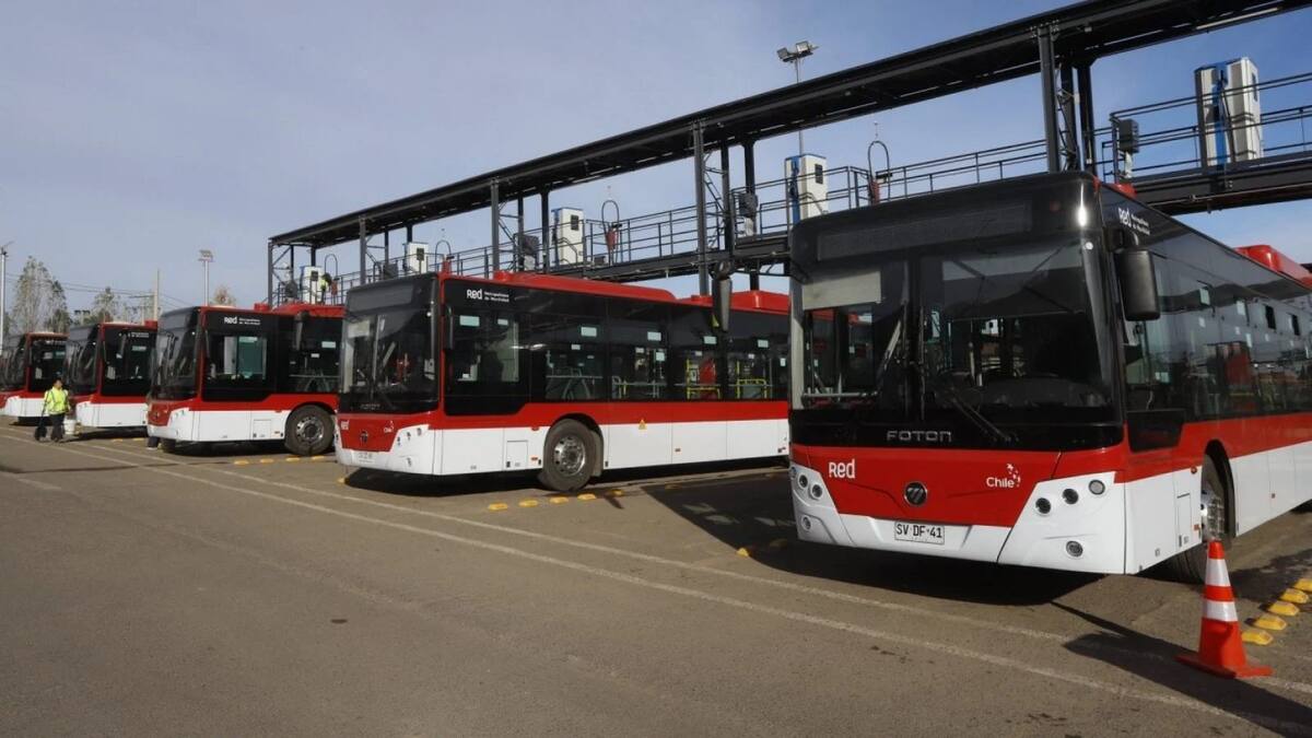 Ministerio de Transportes anuncia refuerzo en servicios RED para las Elecciones: el foco está puesto en la mañana por pronóstico de lluvia