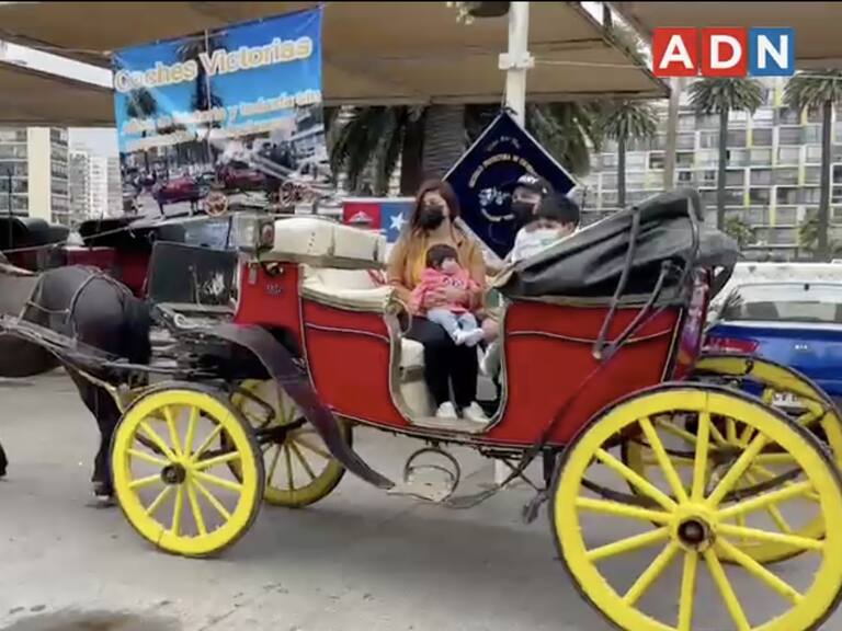 Cocheros de Viña del Mar realizaron manifestación tras publicación de decreto que prohíbe su funcionamiento de manera definitiva