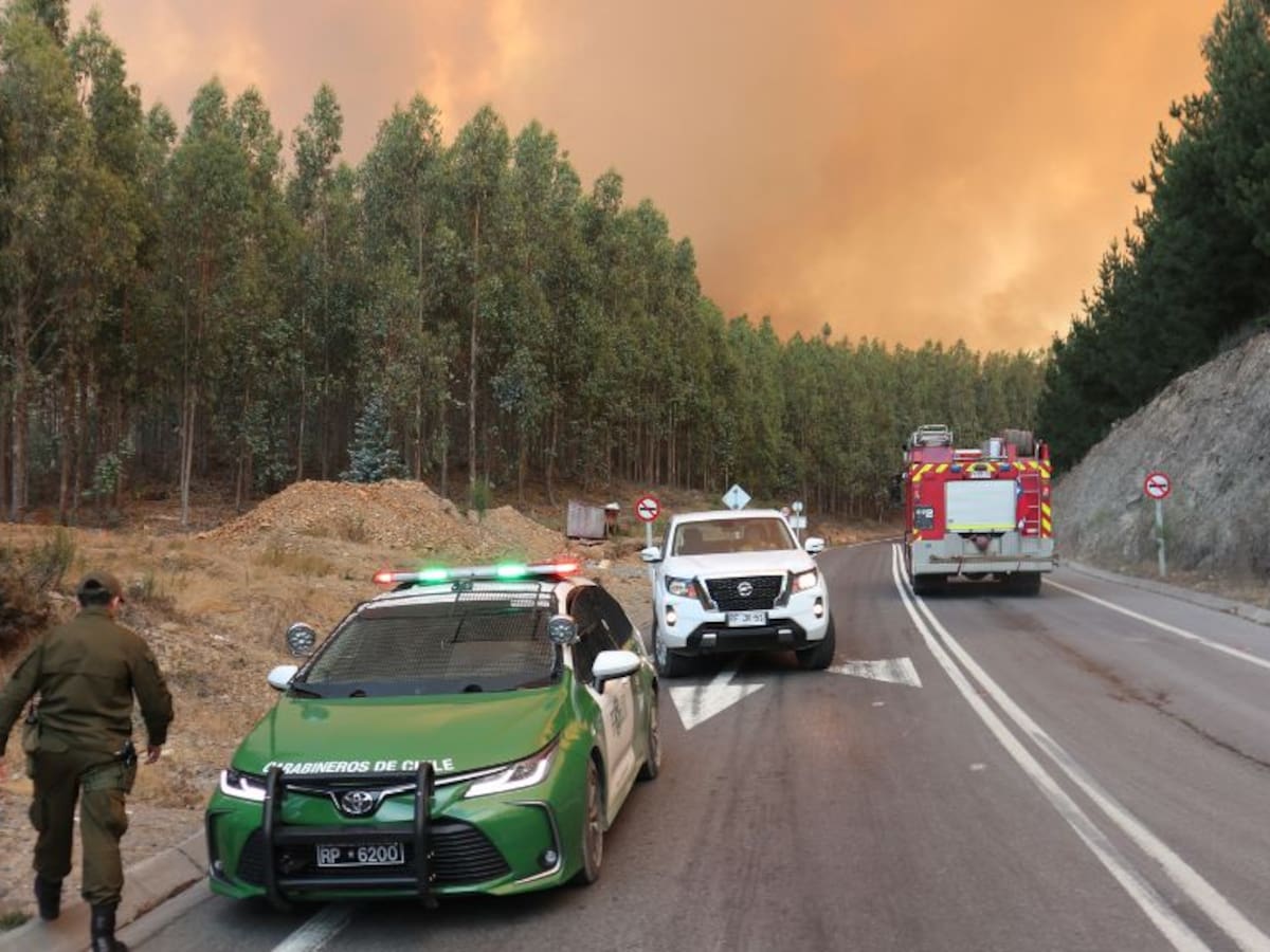 Ministro Montes por reactivación de incendios forestales en el Biobío: «Todos los supuestos que había fueron superados por la realidad»